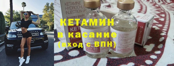 сатива Пересвет