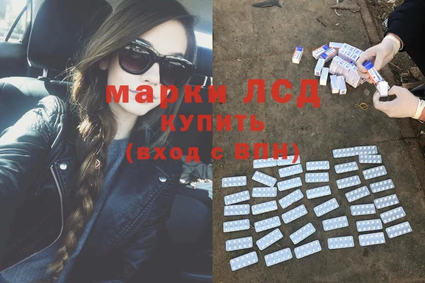 сатива Пересвет
